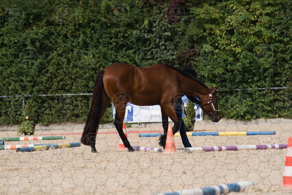 s_batch_A9_00102.jpg